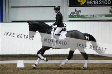 141472_abo_01__AB16035.JPG