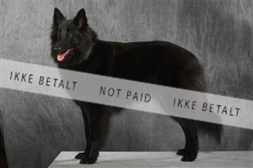 130054_le_ 01_0097.JPG