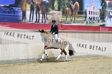 182241_kbb_01_Z093007.JPG