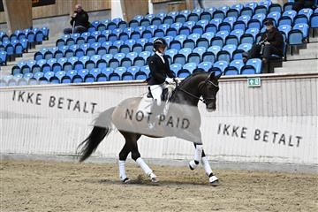 182241_kbb_01_Z094353.JPG
