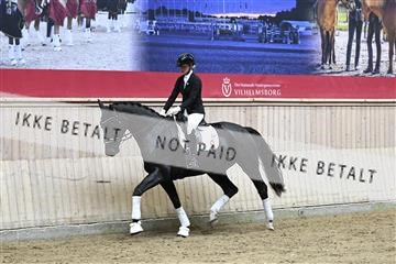 182241_kbb_01_Z094482.JPG