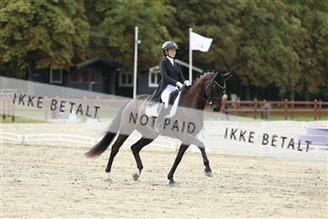 181923_mtp_03_R62_7457.JPG