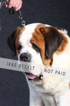 132082_le_ 01_IMG_0089.JPG