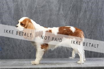 129608_le_ 01_0472.JPG