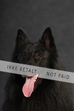 132082_le_ 01_IMG_0821.JPG