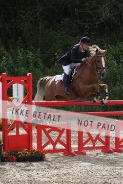 5350_sme _01_IMG_4431.JPG