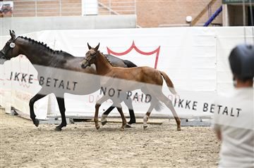 181754_kbb_01_Z094014.JPG