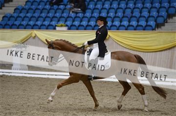 139403_ms_01__MS18514.JPG