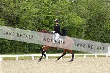 139835_sg_01_IMG_7825.JPG