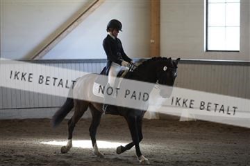 139267_kl_1_8M1Q6550.JPG