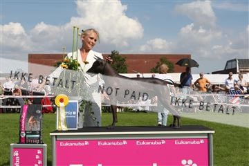 130370_se_03_IMG_7674.JPG