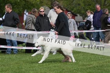 134871_ms_02_IMG_3585.JPG