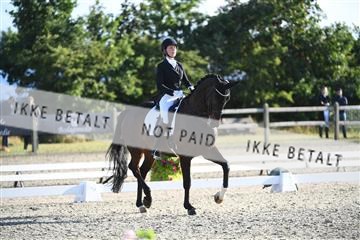 166078_kuo_01_D05_6768.JPG