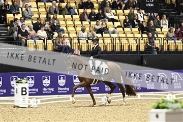 182194_kbb_03_Z090935.JPG