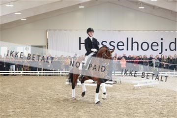 174363_kbb_01_R6II8085.JPG