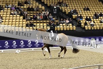 182194_kbb_03_Z090250.JPG