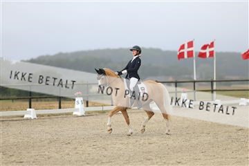 181894_mtp_04_R62_3545.JPG
