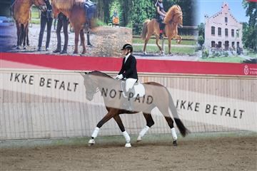181887_mtp_02_R62_7369.JPG