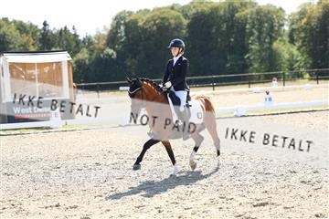 181894_mtp_02_R62_1850.JPG