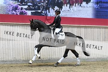 182241_kbb_01_Z094207.JPG