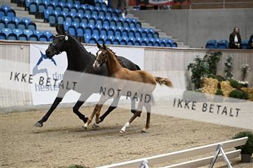 181957_kbb_01_Z096847.JPG