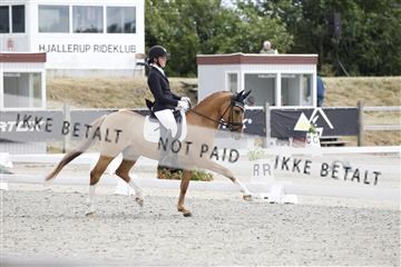 166078_rhj_01__J7R2414.JPG