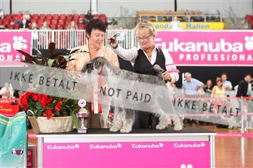 6068_ma_07_IMG_6940.JPG
