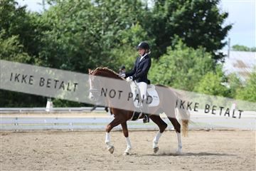 156196_nn_01_IMG_6338.JPG