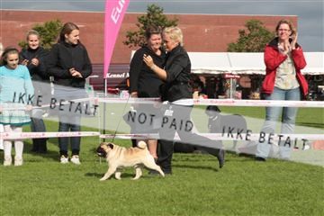 130370_tl_01_IMG_7520.JPG