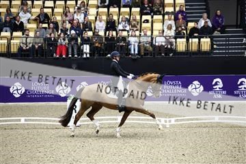 182194_avh_05_2894.JPG