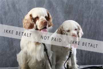 129608_le_ 01_0743.JPG