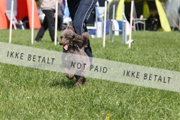 134871_ms_02_IMG_2865.JPG
