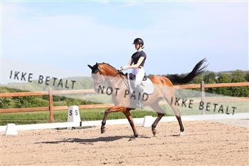 181449_bc_01R62_5930.JPG