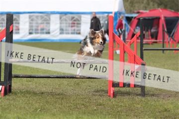 124188 _tl_02_IMG_9478.JPG