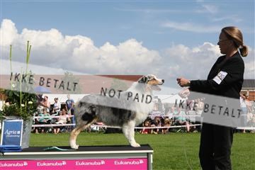 130370_se_03_IMG_7650.JPG