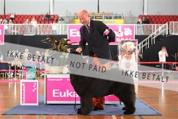 6068_ma_07_IMG_6946.JPG