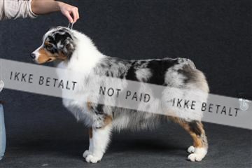 132082_le_ 01_IMG_0257.JPG