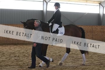 139206_kl_1_8M1Q5328.JPG