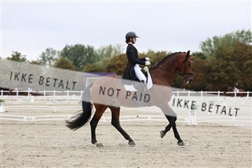 181923_mtp_01_R62_6316.JPG