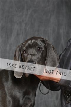 130054_le_ 03_0420.JPG