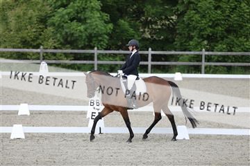 172030_mtp_01_3M5A1766.JPG