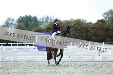 181923_mtp_04_R62_8758.JPG