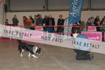 133496_tl_01_IMG_1761.JPG