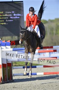 139644_abo_02__AB14816.JPG
