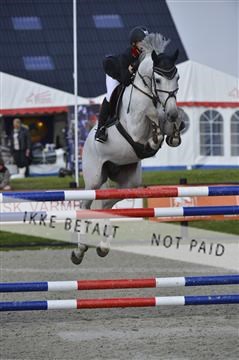 139644_abo_01__AB13723.JPG