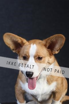 132082_le_ 01_IMG_0237.JPG