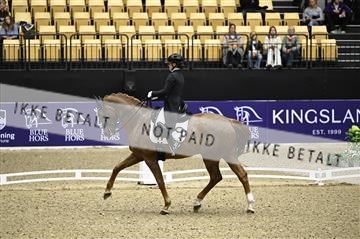 182194_kbb_02_Z098577.JPG