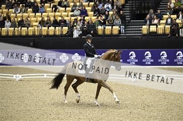 182194_kbb_02_Z098664.JPG