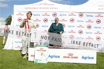 181564_kar_01__62_7262.JPG