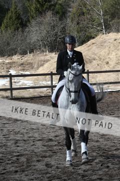 139267_kl_1_8M1Q6916.JPG